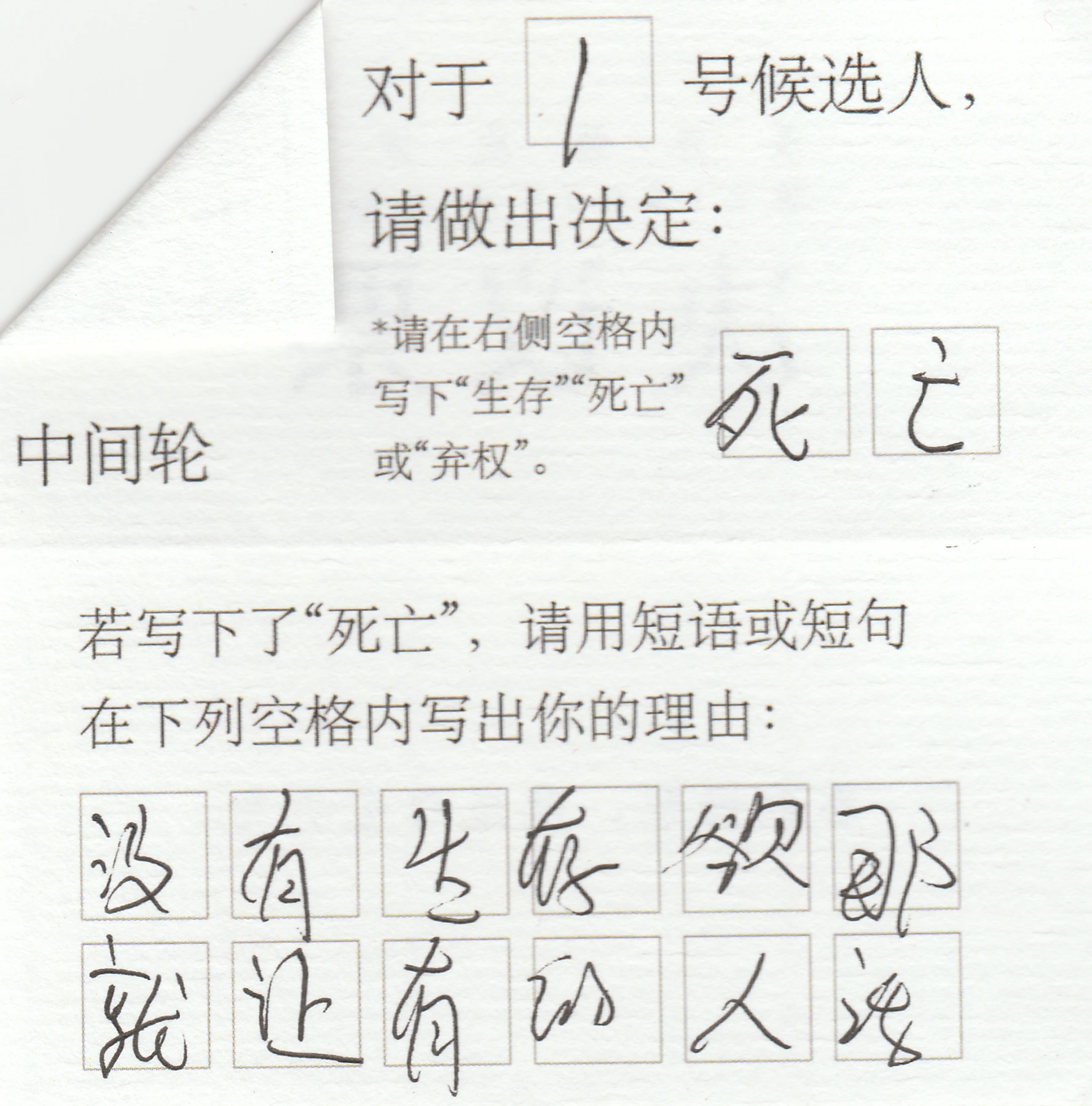 投票扫描纸本:左上折角遮挡决议员编号,可见候选编号、手写选择与理由格。同版式与手写理由在项目介绍第8页的文件归档拼贴中出现;只作匿名程序材料例,不统计或裁定票选结果。